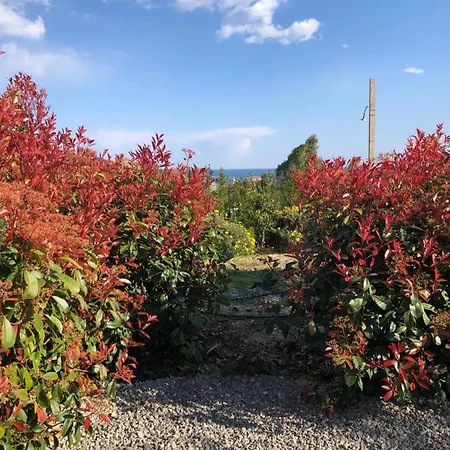 阿苏拉布瑞齐纳农家乐 * 里瓦利古雷